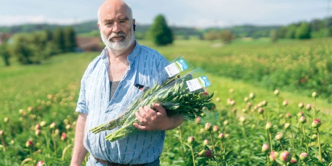 Isler Schnittblumen, Russikon