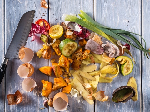 Food-Waste